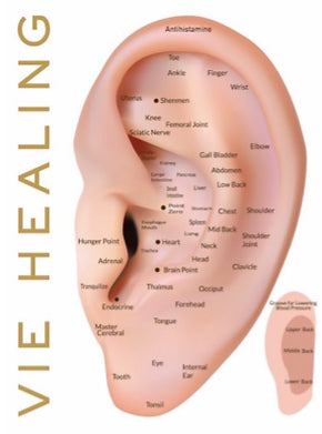 EAR SEEDS FOR EASY, AT-HOME ACUPRESSURE TO RELIEVE ANXIETY