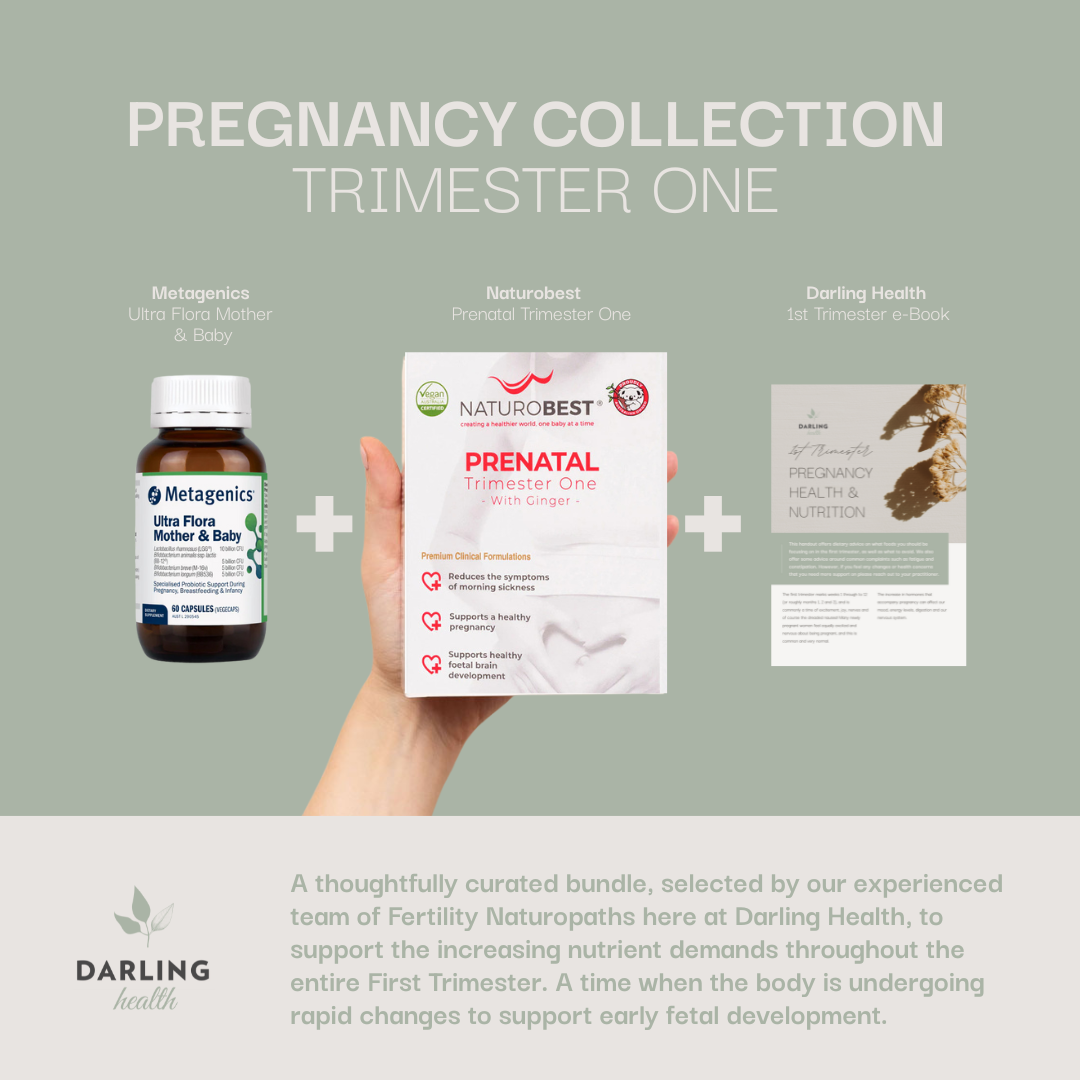 Pregnancy Trimester One