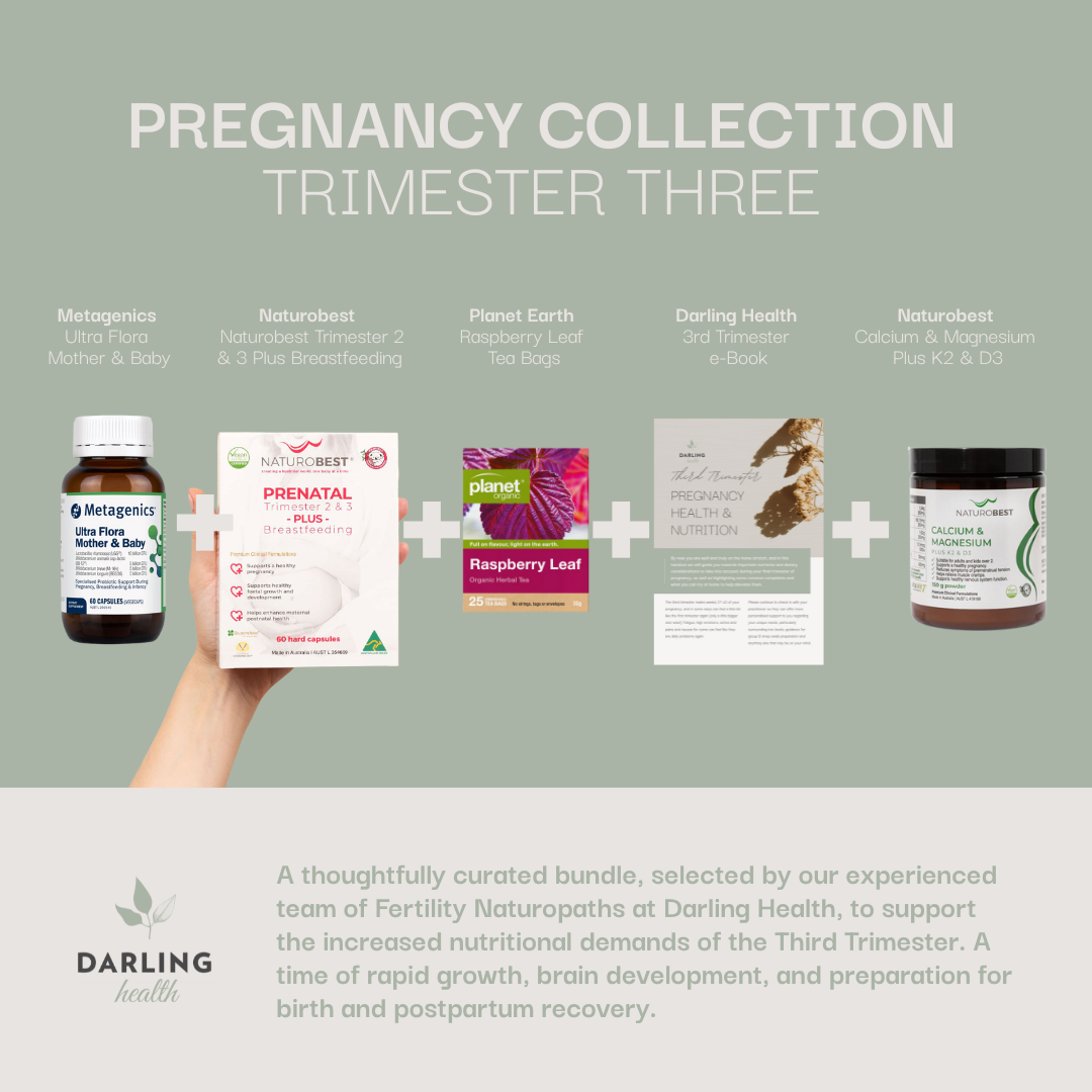 Pregnancy Trimester Three