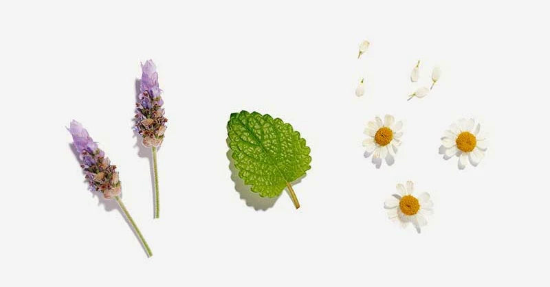 Calming Pyramid Tea Bags